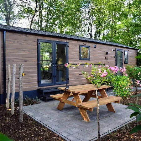 Gezellig Vakantiechalet In Bosrijke Omgeving Op De Veluwe Apartment Epe