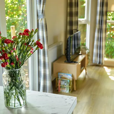 Apartman Gezellig Vakantiechalet In Bosrijke Omgeving Op De Veluwe