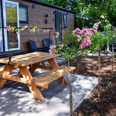 Gezellig Vakantiechalet In Bosrijke Omgeving Op De Veluwe *