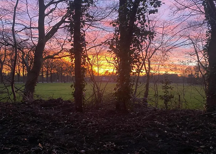 Gezellig Vakantiechalet In Bosrijke Omgeving Op De Veluwe