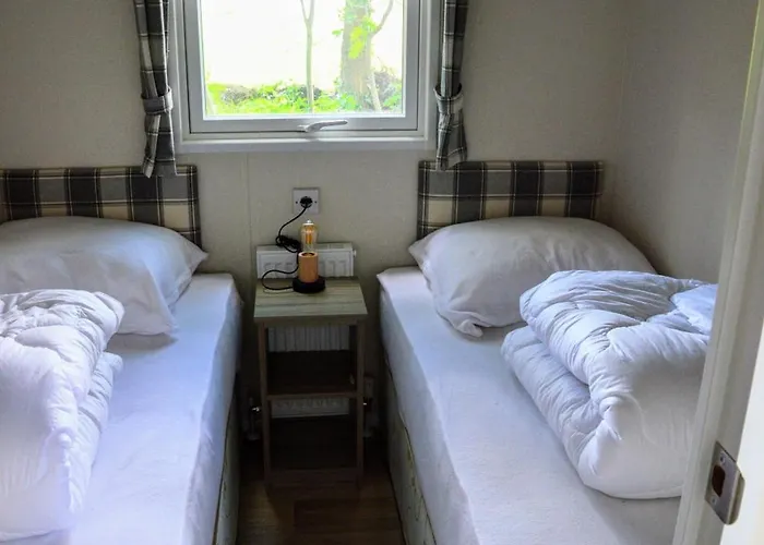 Gezellig Vakantiechalet In Bosrijke Omgeving Op De Veluwe Epe