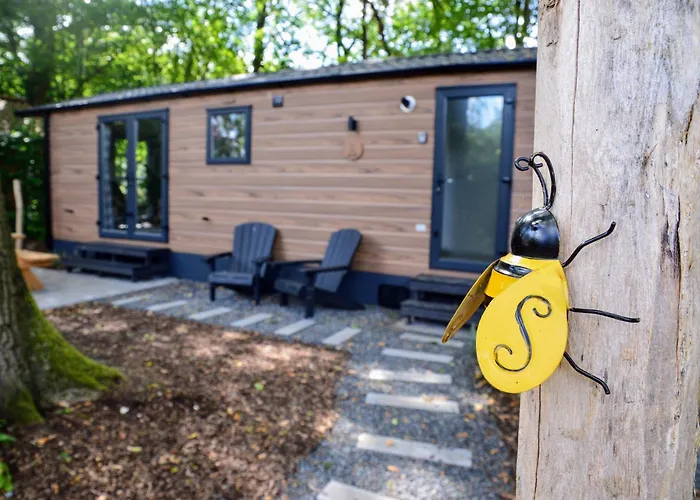 Gezellig Vakantiechalet In Bosrijke Omgeving Op De Veluwe Epe