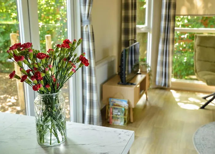 Appartement Gezellig Vakantiechalet In Bosrijke Omgeving Op De Veluwe