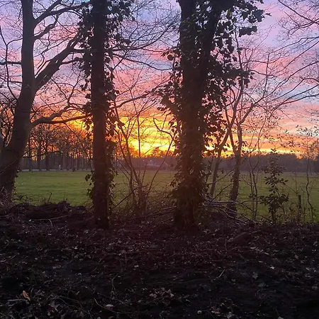 Gezellig Vakantiechalet In Bosrijke Omgeving Op De Veluwe