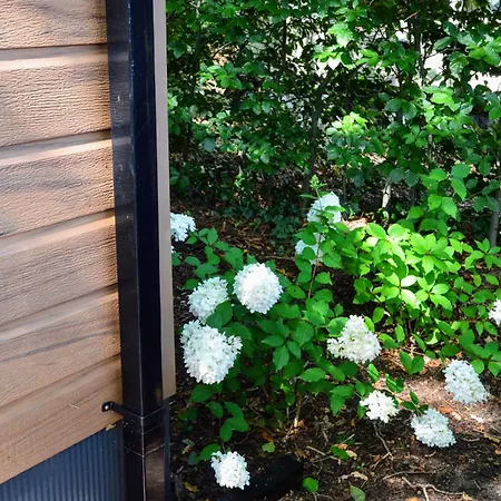 Gezellig Vakantiechalet In Bosrijke Omgeving Op De Veluwe דירה