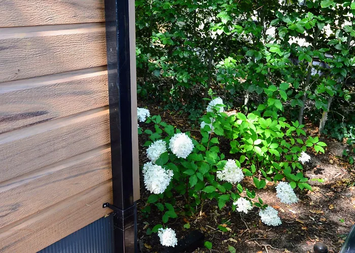 Gezellig Vakantiechalet In Bosrijke Omgeving Op De Veluwe דירה