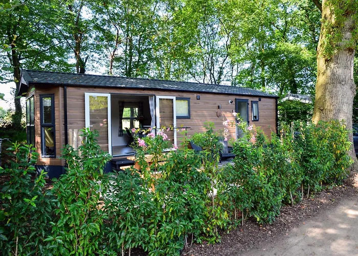 דירה Gezellig Vakantiechalet In Bosrijke Omgeving Op De Veluwe