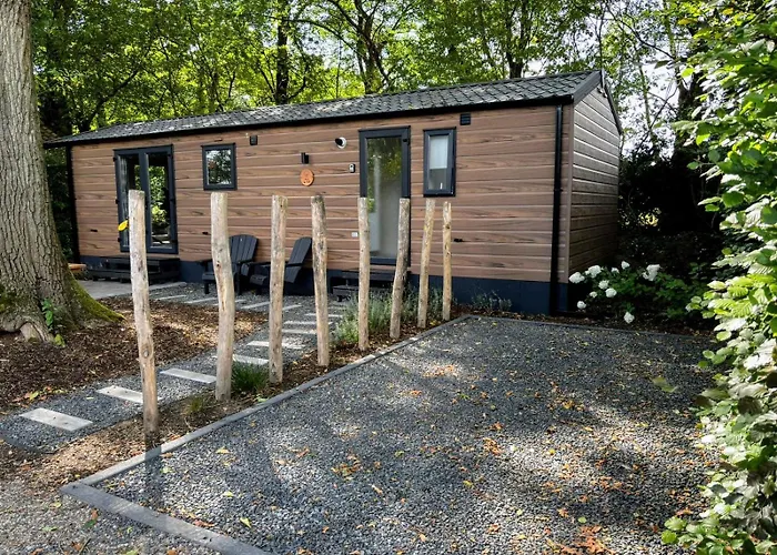 Gezellig Vakantiechalet In Bosrijke Omgeving Op De Veluwe