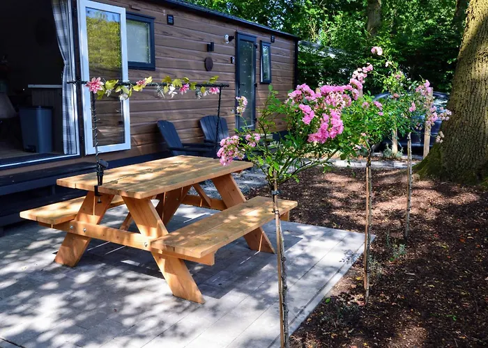 Gezellig Vakantiechalet In Bosrijke Omgeving Op De Veluwe *